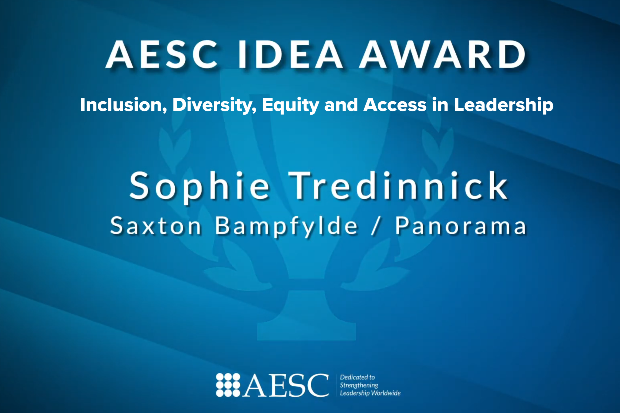 Saxton Bampfylde wins ‘IDEA’ Award for outstanding contribution to