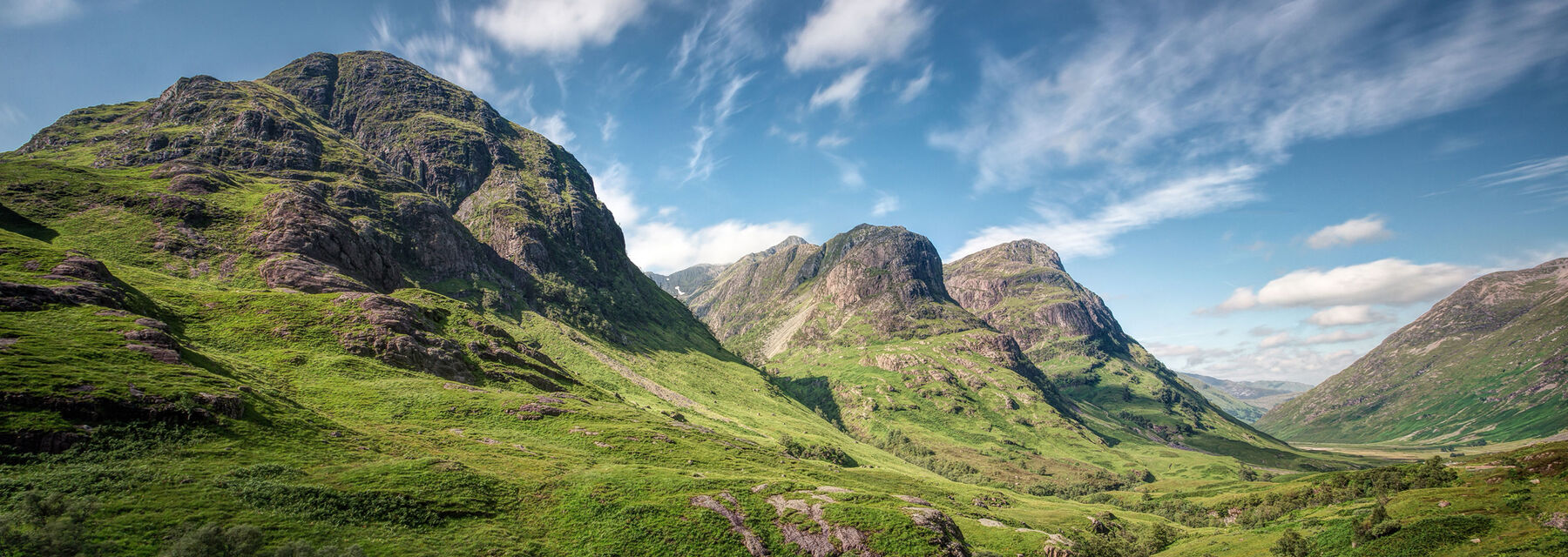 National Trust for Scotland Saxton Bampfylde Global Executive